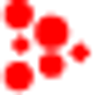 custom_website